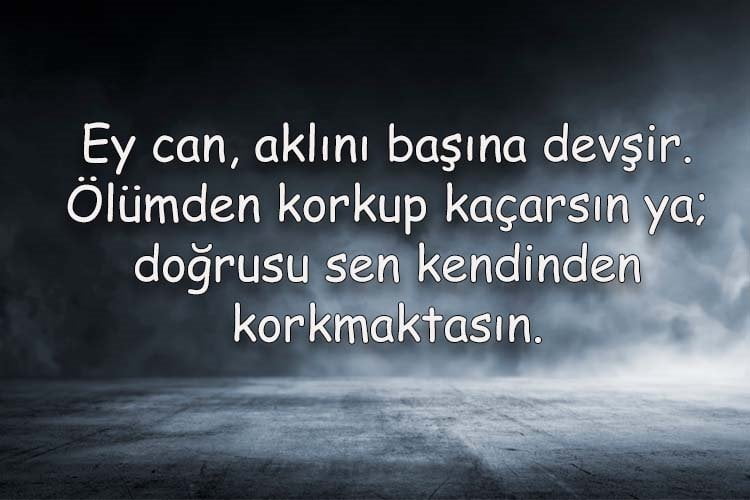 0x0 resimli mevlana sozleri en guzel hz mevlana sozleri ve ogutleri 1636714732971