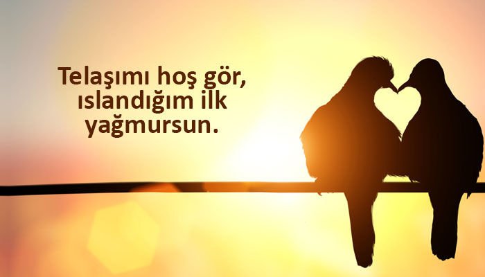 3316321 05fe053849ad4c9811fe7c2f2b5c3743