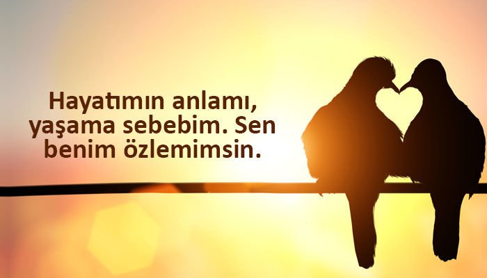 3316321 7b2bc2dcae51d11403587d5a6fde9a70