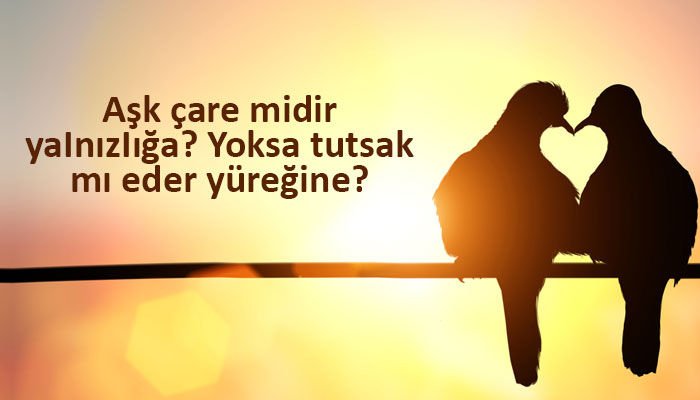 3316321 7e5772fce229564df0c95019ce13a94c