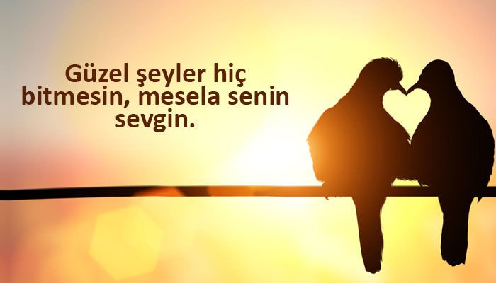 3316321 fce18efa8004b1f8880b9c3649668805