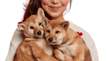 İstinye Veteriner: Evcil Hayvanınız İçin En İyi Seçim