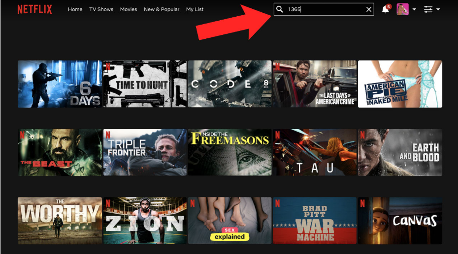 netflix gizli kodları